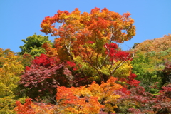 談山神社