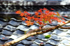 延命寺2
