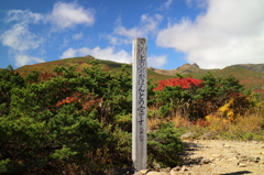 ほんとの空