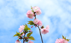 春の日に　4