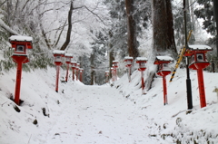 葛木神社参道