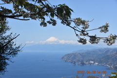 2022.4伊豆③
