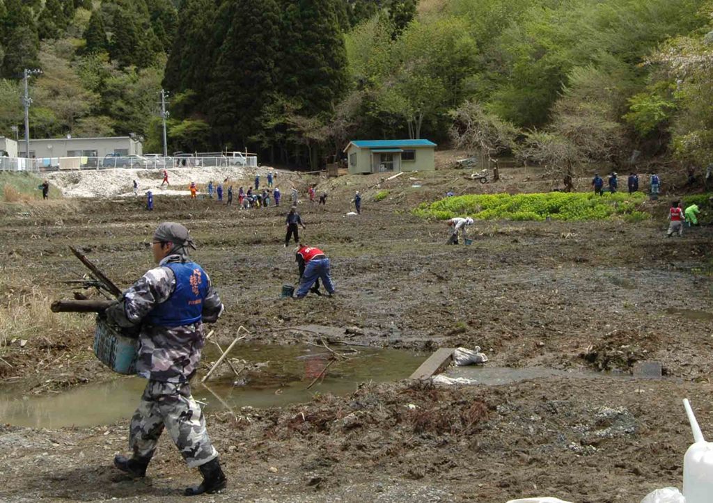 牡鹿清水田　