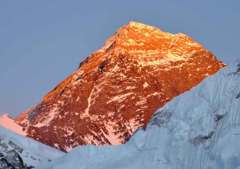 イエローバンド