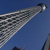 見上げると首がもげそう
