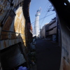 路地裏