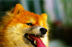 いいはず。