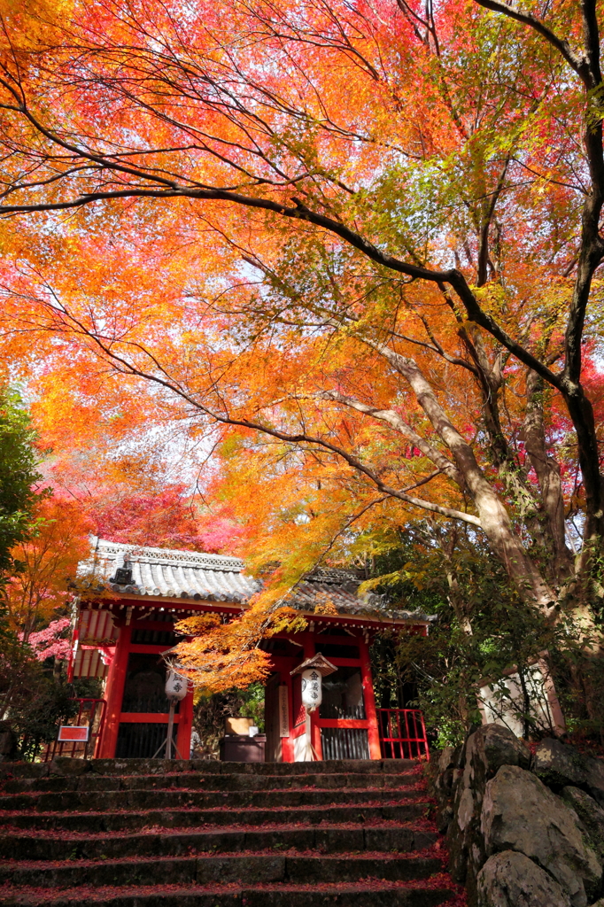 金蔵寺山門