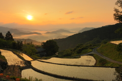 朝の棚田のある風景