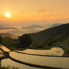 朝の棚田のある風景