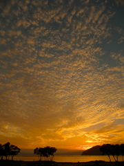 水鳥公園で見た夕焼け