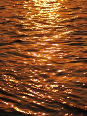黄金に光る水辺