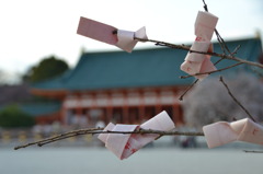 平安神宮桜御籤