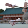 平安神宮桜御籤