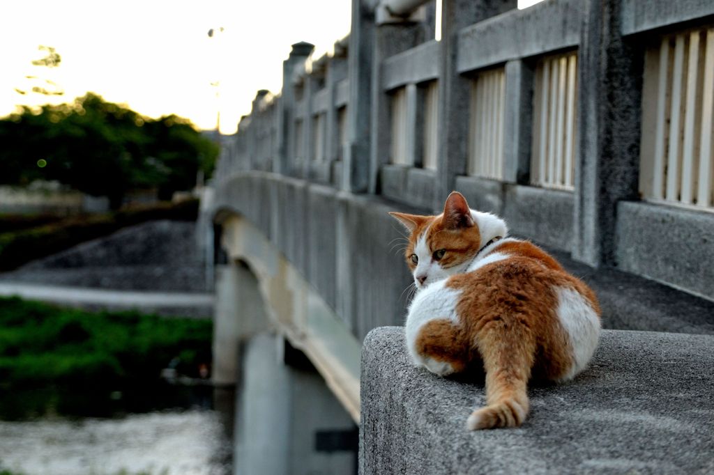 夕暮れインブルー