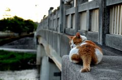 夕暮れインブルー