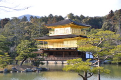 金閣寺