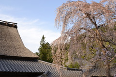 萱葺きと