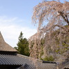 萱葺きと
