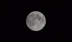 9月11日の月