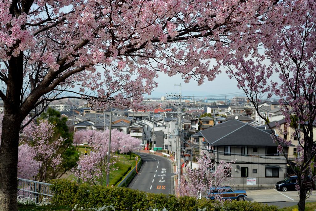 春の街並み