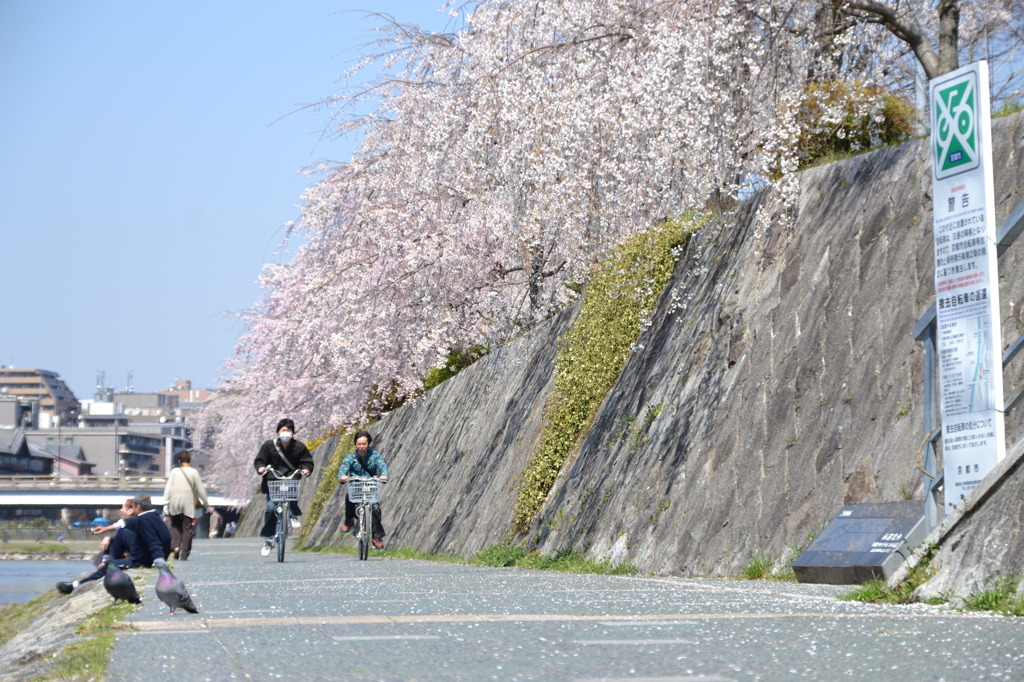 鴨川２