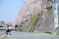 鴨川２