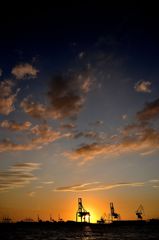 港鶴と夕焼け