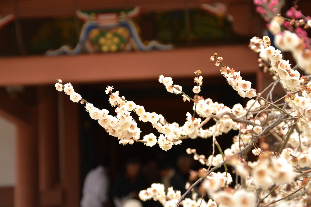 北野天満宮２