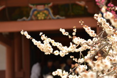 北野天満宮２