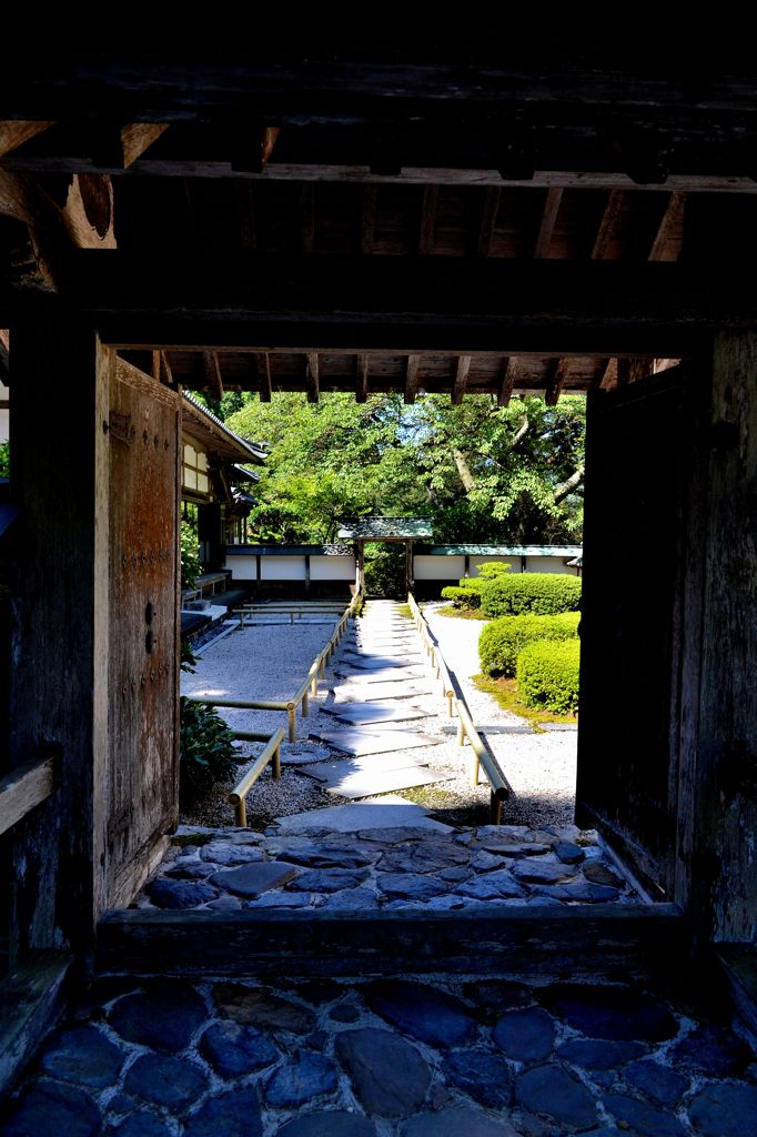 中庭の風景