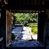 中庭の風景