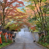 雨上がりの鞍馬