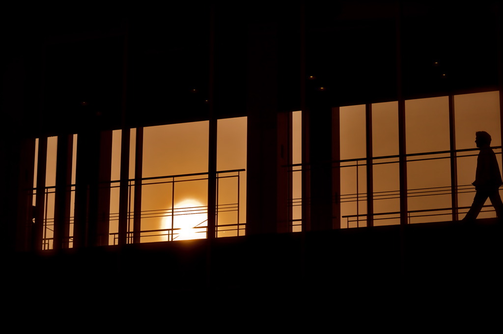 DSC_0408
