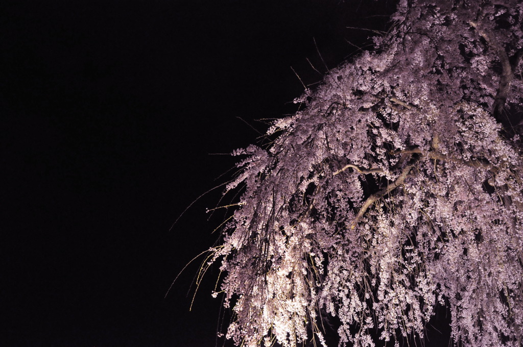 CSC_0514