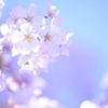 spring shower #02