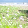 初夏の浜辺#02