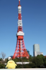 東京タワーとぴよ、晴れ