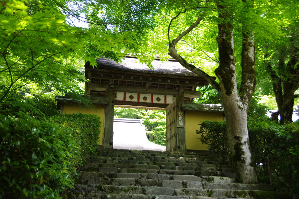 平家ゆかりのお寺です