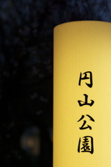 夜目にもあざやかな