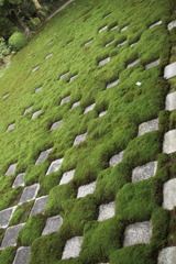 むか〜し、昔に作られたお庭だそうです