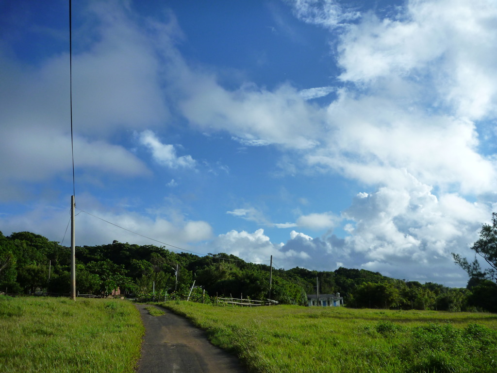 雲