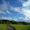 雲