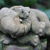 Sleep