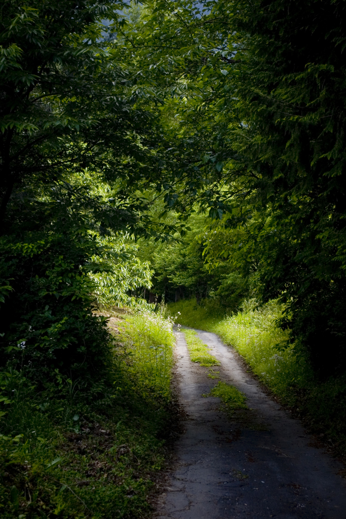 陽の当たる場所