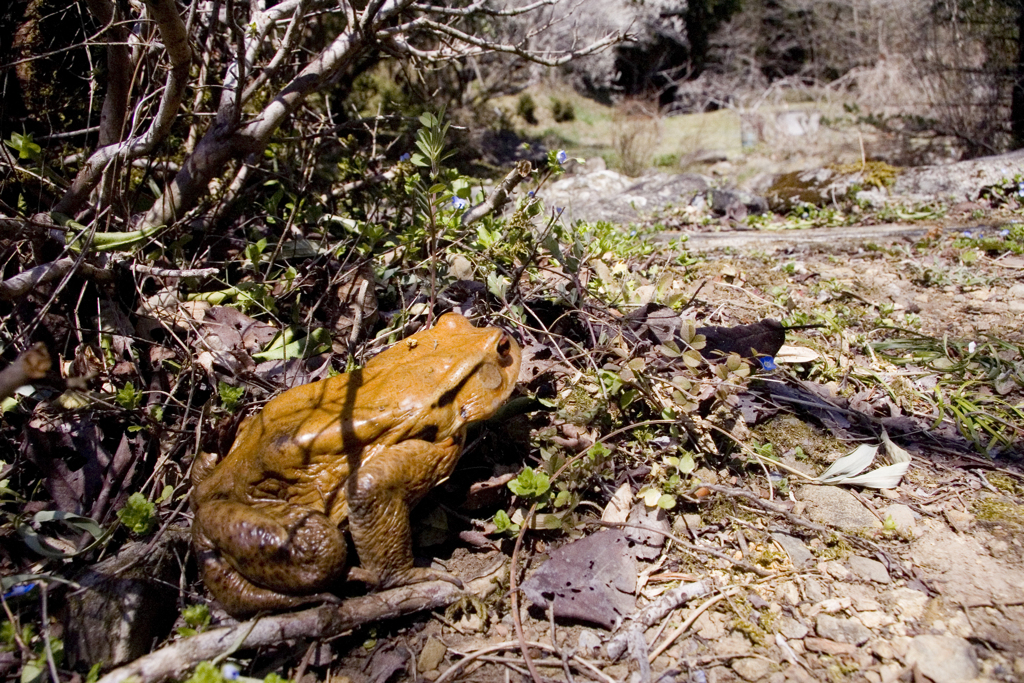 合コンに出かけるとこなの