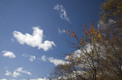 秋の空