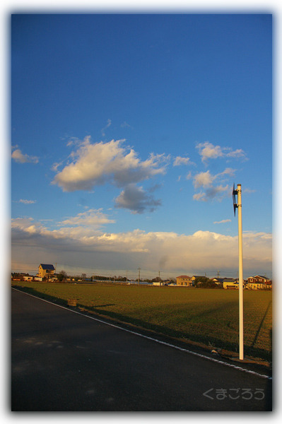 IMGP8962
