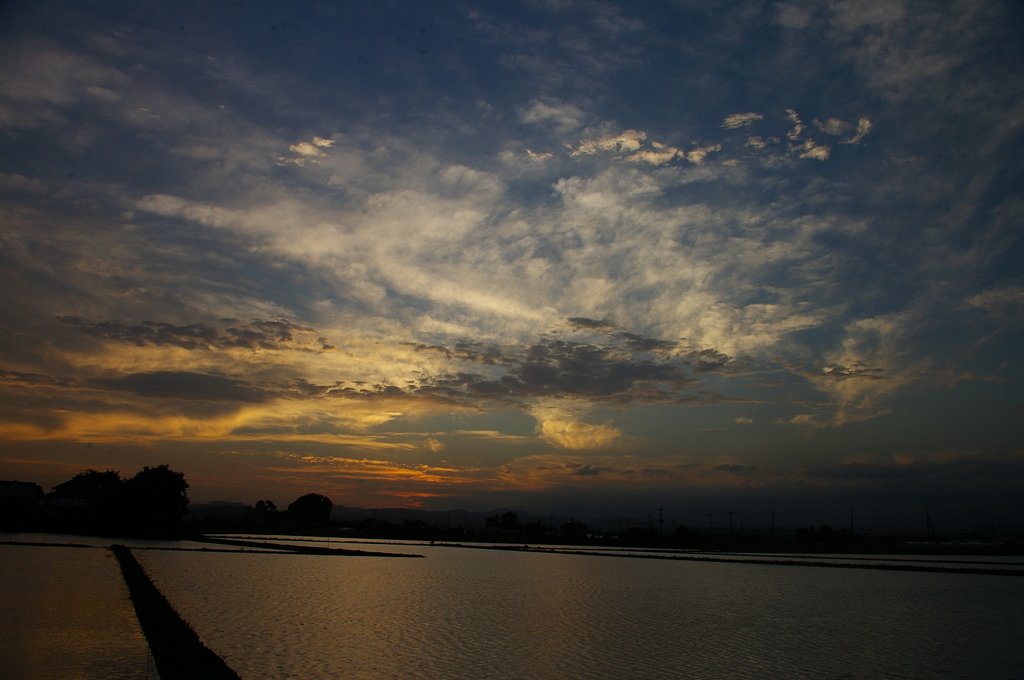 夕陽