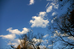 IMGP0132